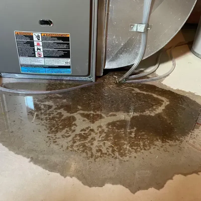 Appliance Leak Cleanup in Lake Elsinore, CA